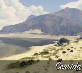 Corrida 'Corrida Raton' do GTA Online